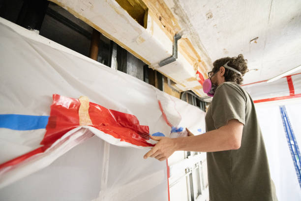 Gray Summit, MO Mold Removal Company