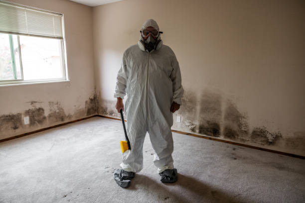 Biohazard Mold Removal in Gray Summit, MO
